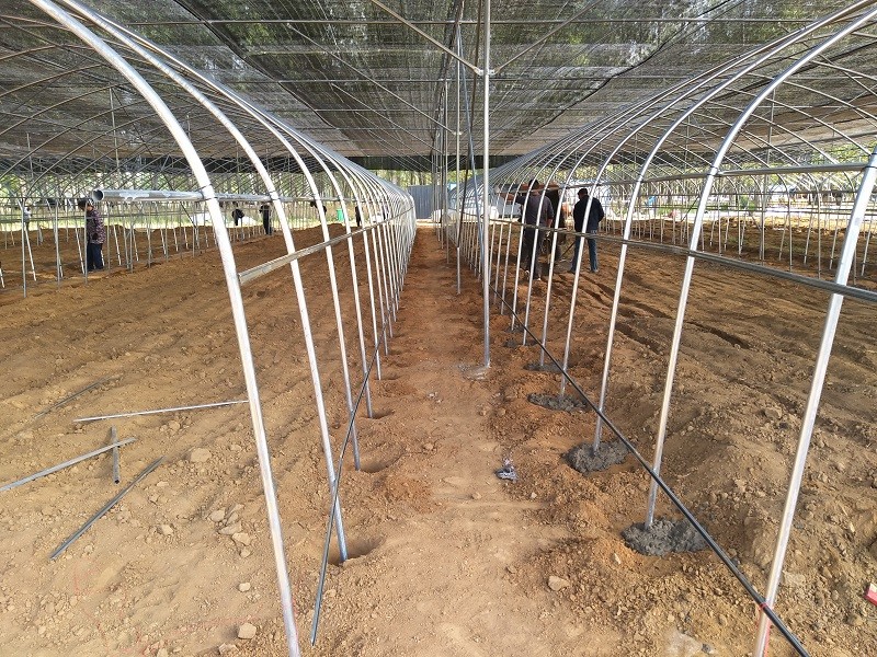 鲁山精准扶贫-康力加灵芝种植场带领贫困户脱贫致富​