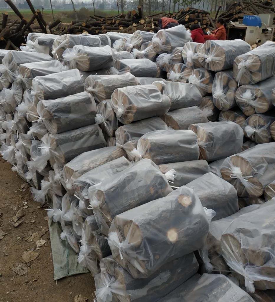 椴木原料高温灭杂菌处理