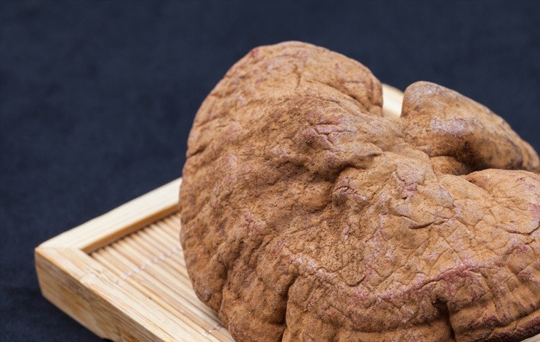 灵芝孢子粉如何辨别真伪