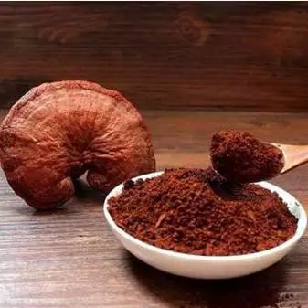 灵芝孢子粉的功效和作用