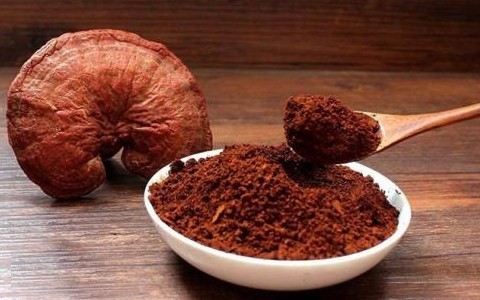 灵芝孢子粉的详细介绍